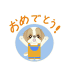 キュートなシーズー犬（個別スタンプ：31）