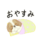 キュートなシーズー犬（個別スタンプ：32）