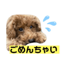 おいぬとにんげん（個別スタンプ：3）