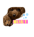 おいぬとにんげん（個別スタンプ：8）