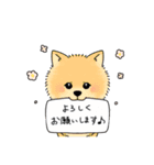 【公式】HAMBURG＆CURRY919LINEスタンプ（個別スタンプ：15）