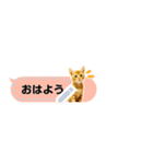 吹き出しに猫【メッセージスタンプ】（個別スタンプ：2）