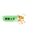 吹き出しに猫【メッセージスタンプ】（個別スタンプ：9）