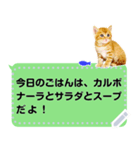 吹き出しに猫【メッセージスタンプ】（個別スタンプ：17）