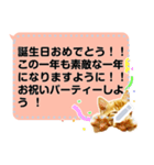 吹き出しに猫【メッセージスタンプ】（個別スタンプ：19）