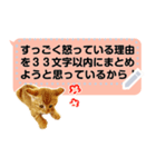 吹き出しに猫【メッセージスタンプ】（個別スタンプ：21）