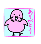 元気なインコのピロリン一家（あいさつ編）（個別スタンプ：10）