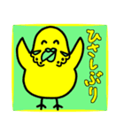 元気なインコのピロリン一家（あいさつ編）（個別スタンプ：11）