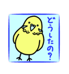 元気なインコのピロリン一家（あいさつ編）（個別スタンプ：13）