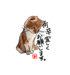 猫のシャロとロタ1（個別スタンプ：2）