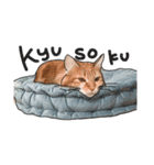 猫のシャロとロタ1（個別スタンプ：15）
