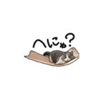 猫のシャロとロタ1（個別スタンプ：16）