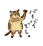 ポンポコおなかのキジトラぴーや（個別スタンプ：4）