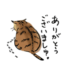 ポンポコおなかのキジトラぴーや（個別スタンプ：8）