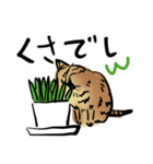 ポンポコおなかのキジトラぴーや（個別スタンプ：14）