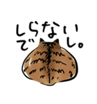 ポンポコおなかのキジトラぴーや（個別スタンプ：16）