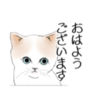 Stickers_cats_a 猫のスタンプ（個別スタンプ：2）