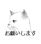 Stickers_cats_a 猫のスタンプ（個別スタンプ：6）