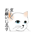 Stickers_cats_a 猫のスタンプ（個別スタンプ：7）