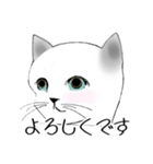 Stickers_cats_a 猫のスタンプ（個別スタンプ：8）