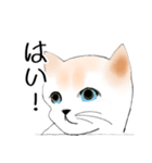 Stickers_cats_a 猫のスタンプ（個別スタンプ：11）