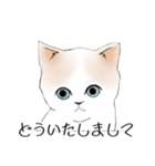 Stickers_cats_a 猫のスタンプ（個別スタンプ：20）