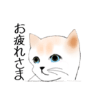 Stickers_cats_a 猫のスタンプ（個別スタンプ：26）