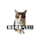 〇〇 食べたい（個別スタンプ：1）