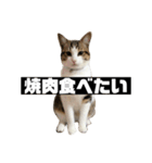 〇〇 食べたい（個別スタンプ：2）