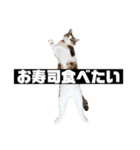 〇〇 食べたい（個別スタンプ：6）