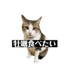 〇〇 食べたい（個別スタンプ：8）