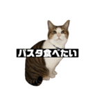 〇〇 食べたい（個別スタンプ：9）