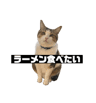 〇〇 食べたい（個別スタンプ：10）