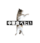 〇〇 食べたい（個別スタンプ：13）