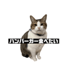 〇〇 食べたい（個別スタンプ：19）