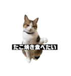 〇〇 食べたい（個別スタンプ：20）