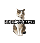 〇〇 食べたい（個別スタンプ：21）