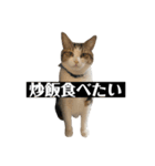 〇〇 食べたい（個別スタンプ：23）