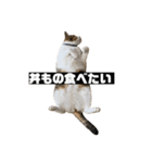 〇〇 食べたい（個別スタンプ：24）