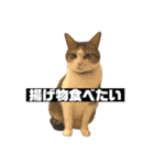 〇〇 食べたい（個別スタンプ：27）