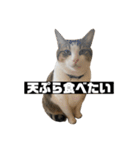 〇〇 食べたい（個別スタンプ：28）