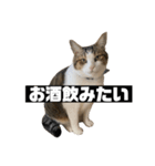 〇〇 食べたい（個別スタンプ：32）