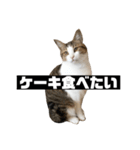 〇〇 食べたい（個別スタンプ：34）