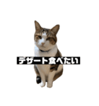 〇〇 食べたい（個別スタンプ：35）