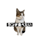 〇〇 食べたい（個別スタンプ：37）