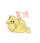 妖精みたいに可愛い猫（個別スタンプ：8）