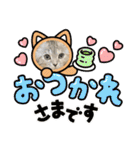 長脚マンチカンのスタンプ（個別スタンプ：12）