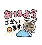 長脚マンチカンのスタンプ（個別スタンプ：13）