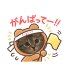 長脚マンチカンのスタンプ（個別スタンプ：14）