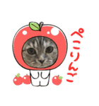 長脚マンチカンのスタンプ（個別スタンプ：28）